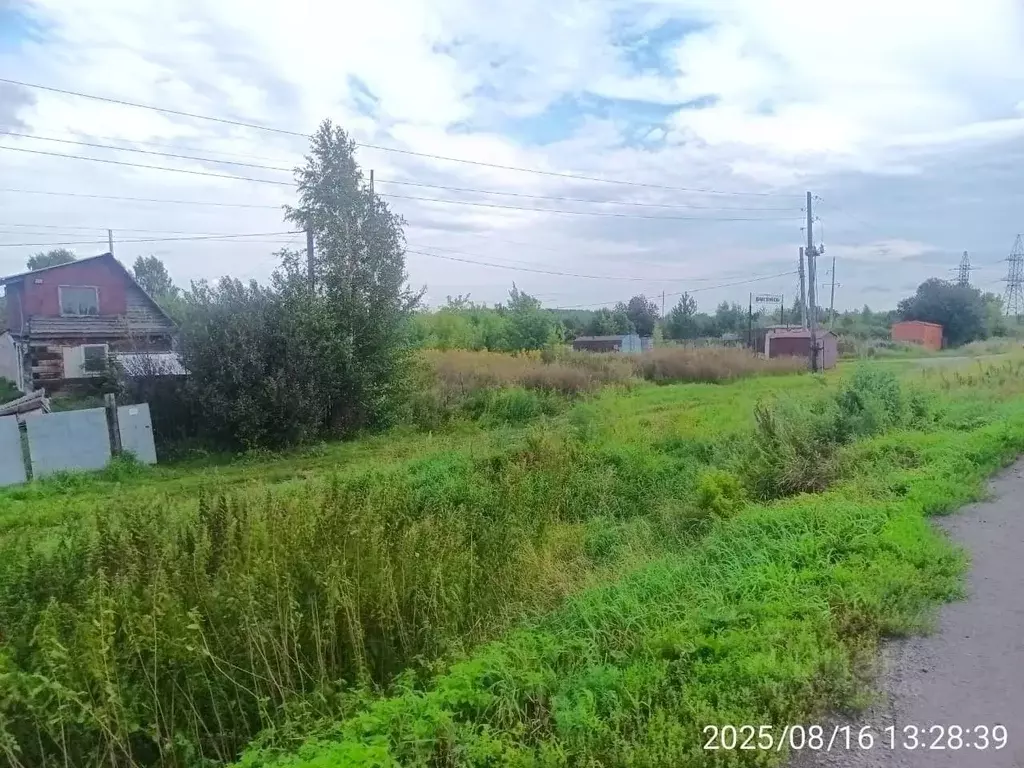 Дом в Алтайский край, Зональный район, Домостроитель садовые участки  ... - Фото 2