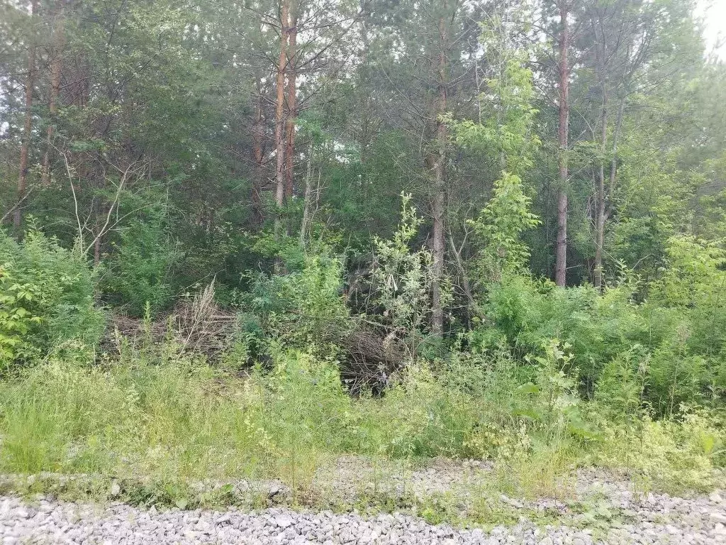 Участок в Свердловская область, Талица  (10.0 сот.) - Фото 1