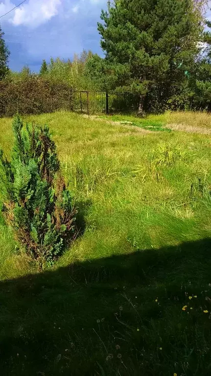 Продается участок в д. Мисцево - Фото 2