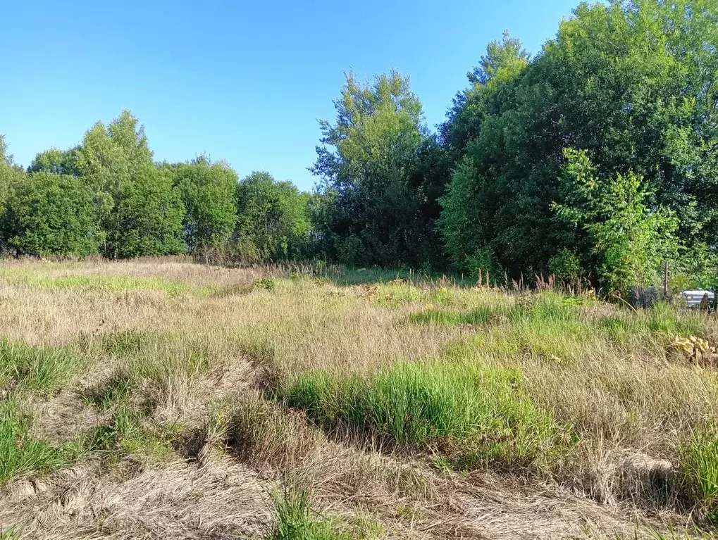 Участок в Московская область, Клин городской округ, д. Елгозино  ... - Фото 1