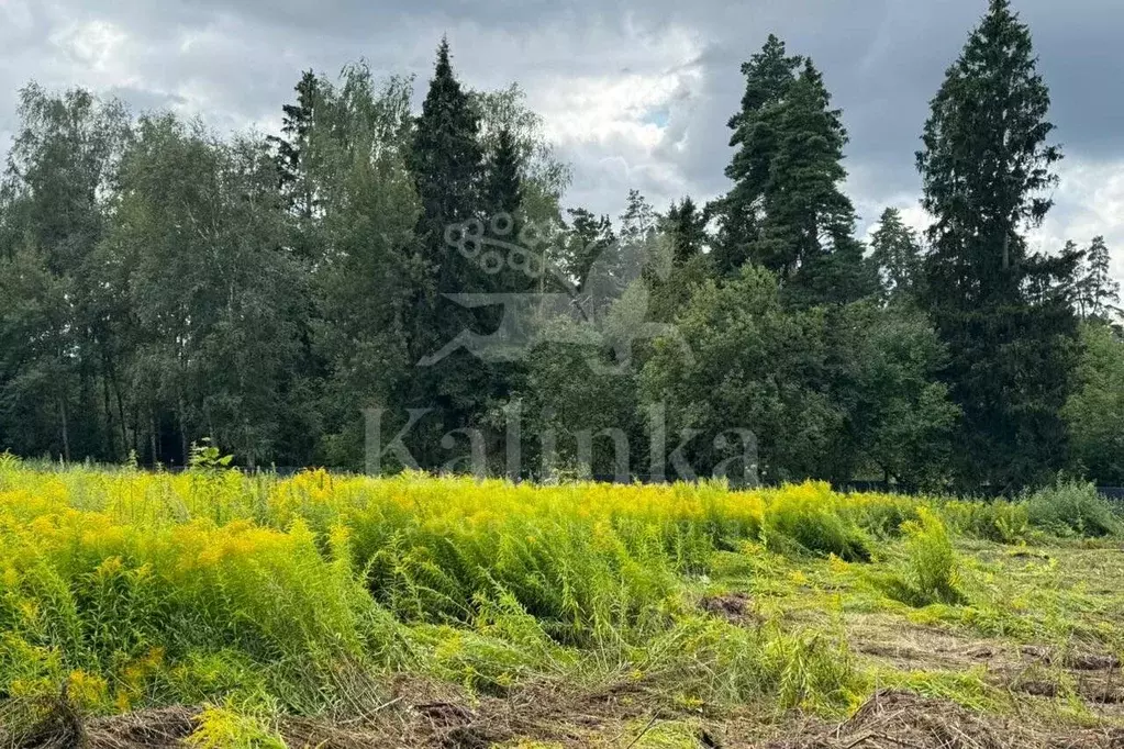 Участок в Московская область, Красногорск городской округ, д. ... - Фото 1