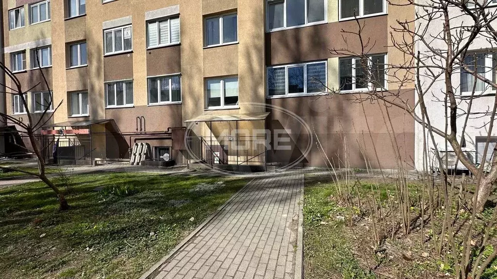 Сдам помещение свободного назначения, 105.3 м - Фото 1