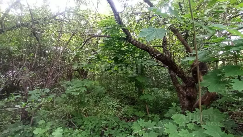 Участок в Белгородская область, Белгородский район, Беломестненское ... - Фото 1