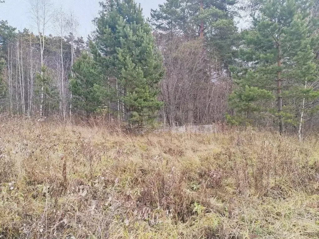 Участок в Тюменская область, Нижнетавдинский муниципальный округ, с. ... - Фото 1