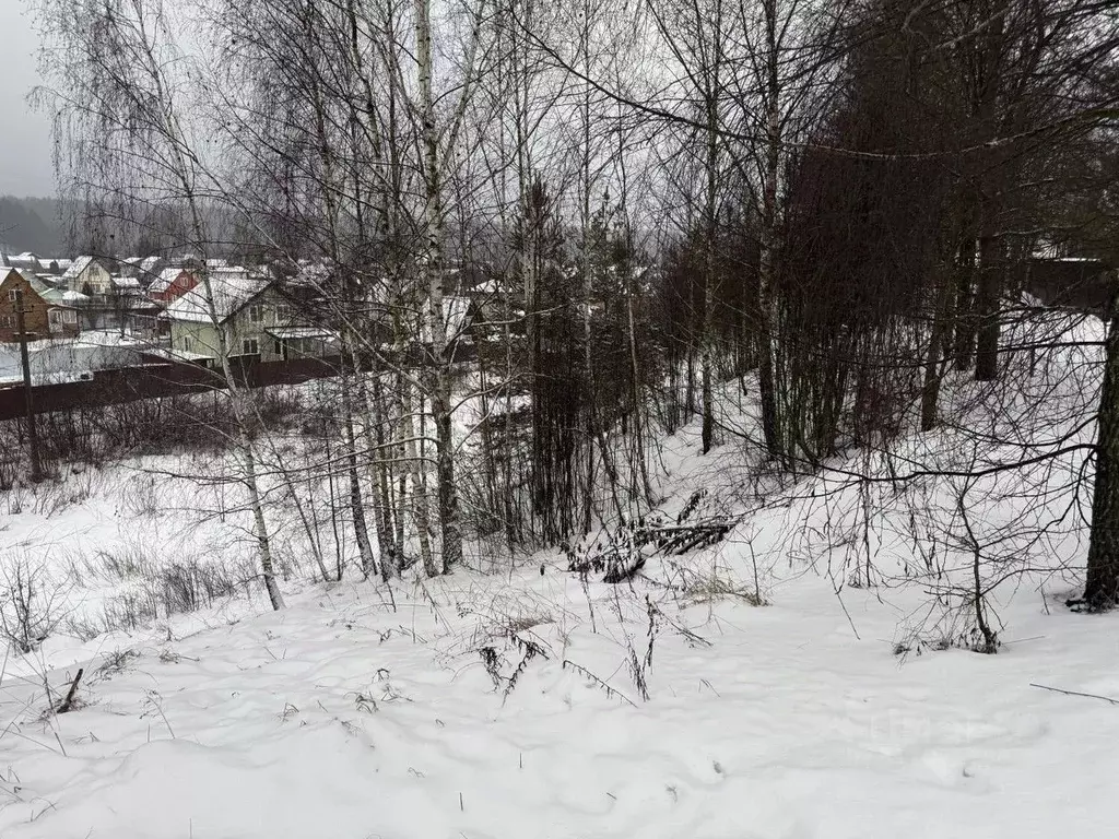 Участок в Московская область, Пушкинский городской округ, д. Лепешки  ... - Фото 1