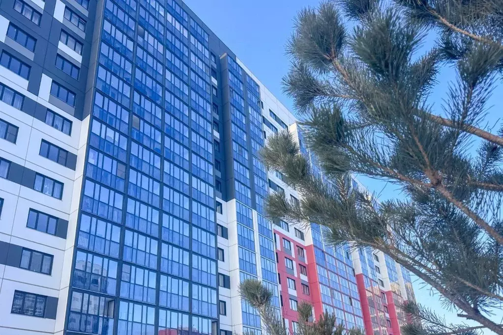 Студия Новосибирская область, Новосибирский район, Станционный ... - Фото 2