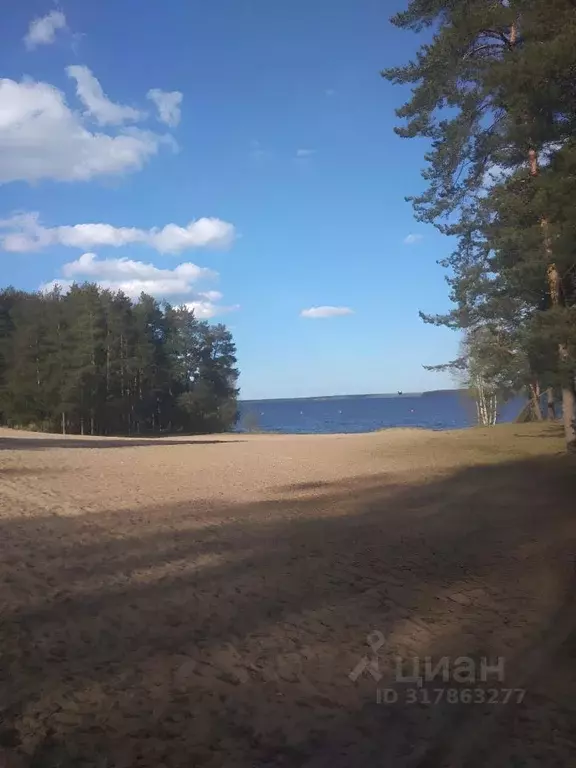 Комната Санкт-Петербург, Санкт-Петербург, Сестрорецк ул. Тарховская, ... - Фото 0