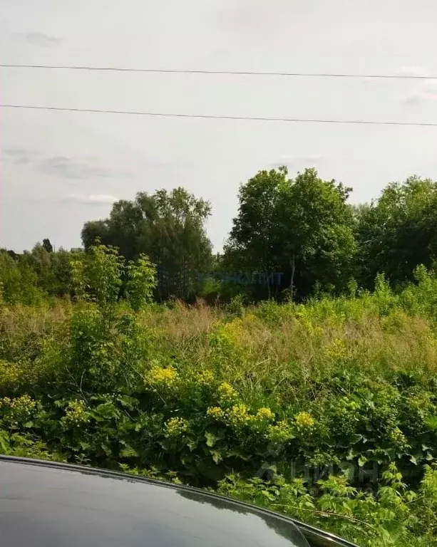 Участок в Нижегородская область, Вадский муниципальный округ, с. ... - Фото 0