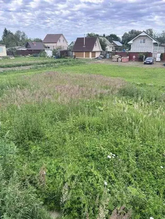 Участок в Новгородская область, Новгородский район, Борковское с/пос, ... - Фото 0