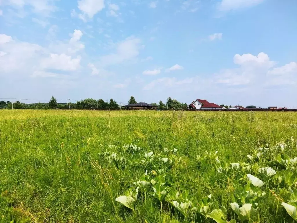 Участок в Тульская область, Ясногорский район, Иваньковское с/пос, д. ... - Фото 1