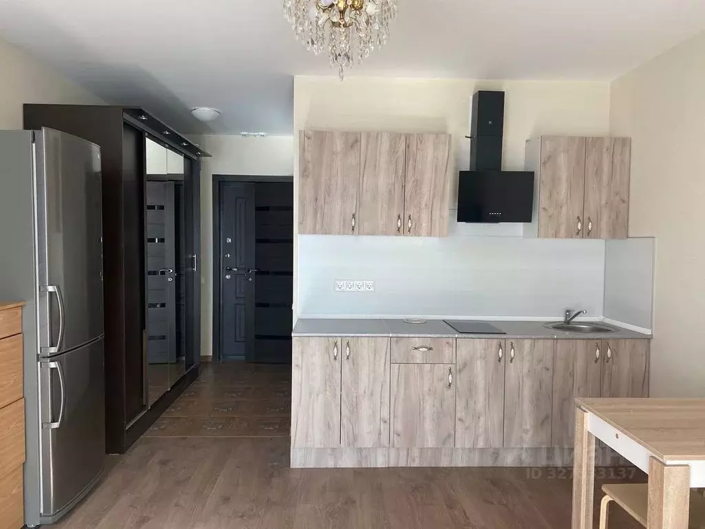 Студия Ленинградская область, Ломоносовский район, Виллозское ... - Фото 1