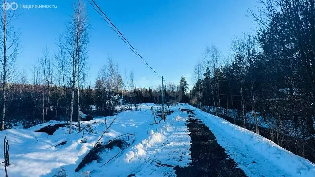 Участок в Ленинградская область, Всеволожское городское поселение, ДНП ... - Фото 1