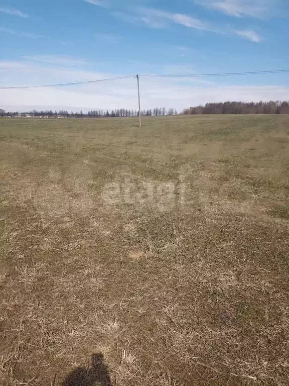 Участок 5,6 сот. (СНТ, ДНП) - Фото 0