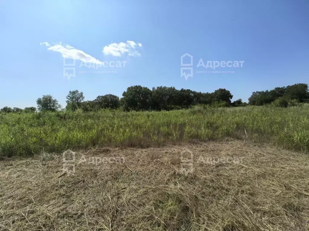 Участок в Волгоградская область, Краснослободск Среднеахтубинский ... - Фото 1