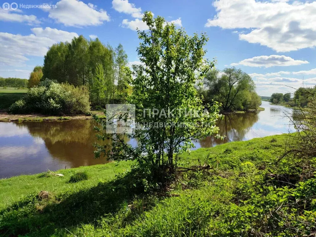 Участок в Богородский городской округ, деревня Берёзовый Мостик, 7 ... - Фото 0