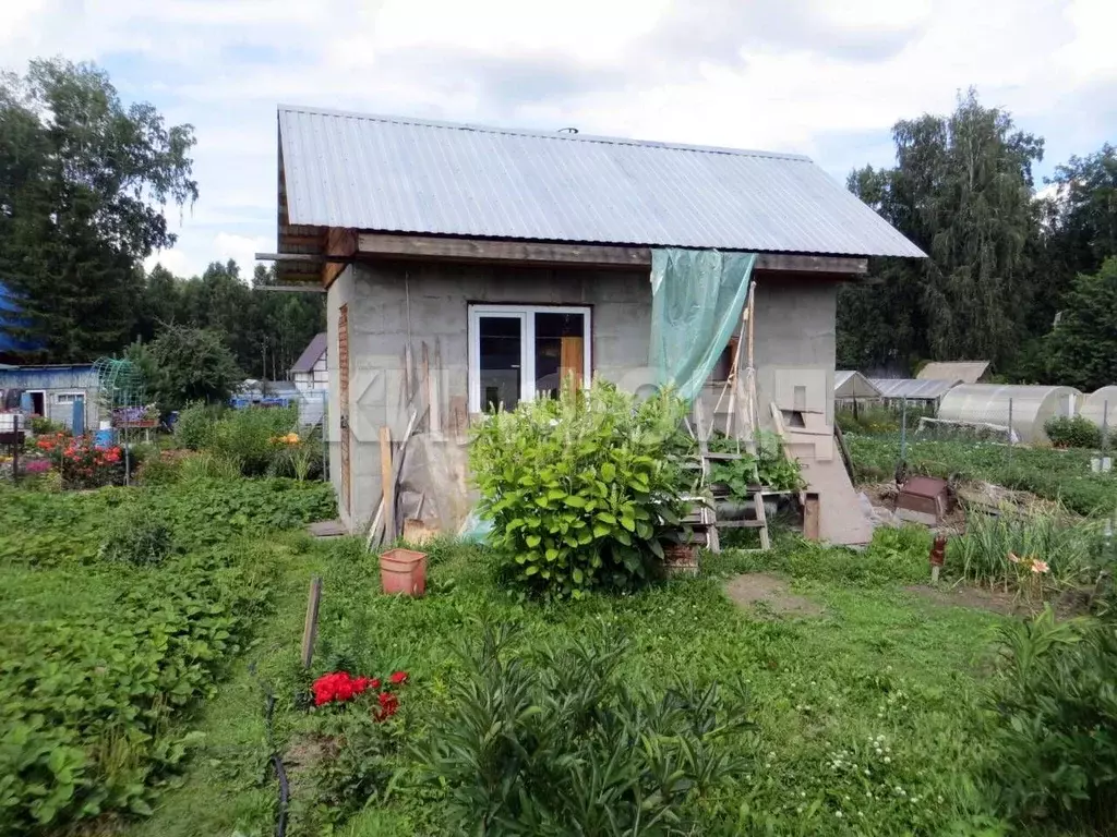 Дом в Новосибирская область, Новосибирск Сибиряк СНТ,  (50 м) - Фото 0