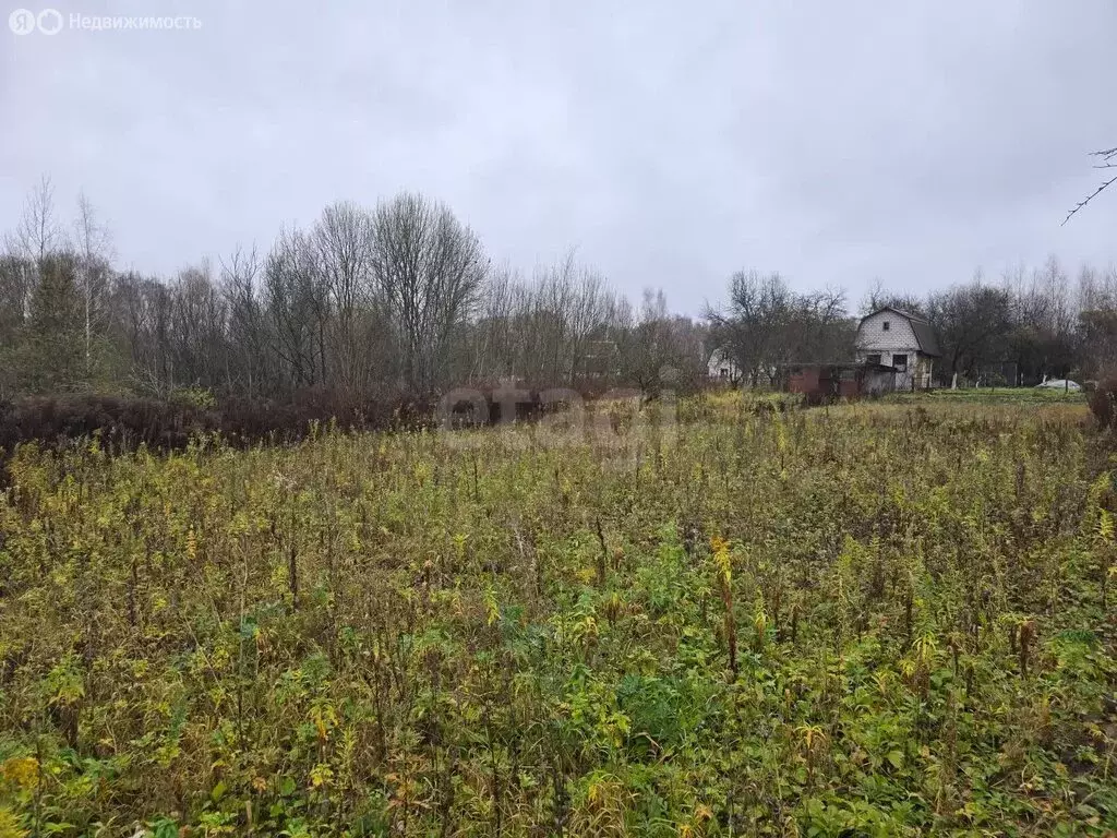 Участок в Толмачево, СДТ Русь (5 м) - Фото 1