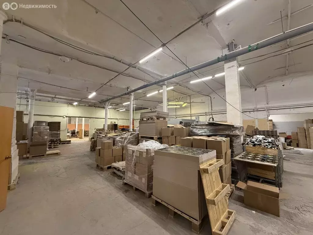 Помещение свободного назначения (1000 м) - Фото 1