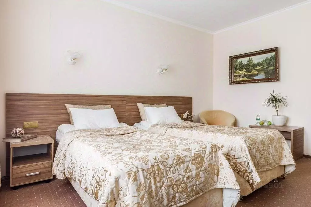 Комната Краснодарский край, Краснодар Центральный мкр, ул. Постовая, ... - Фото 2