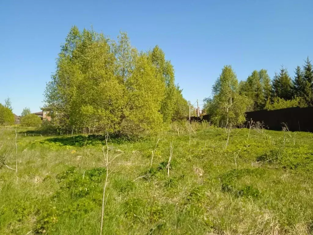 Участок в Московская область, Наро-Фоминский городской округ, д. ... - Фото 0