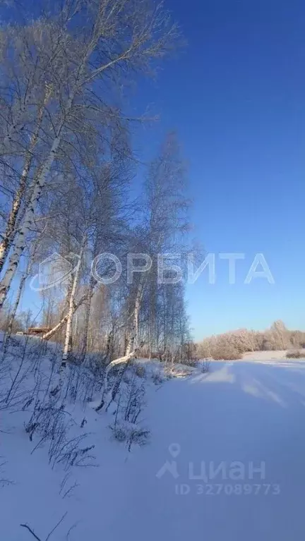 Участок в Тюменская область, Тюменский муниципальный округ, д. ... - Фото 2