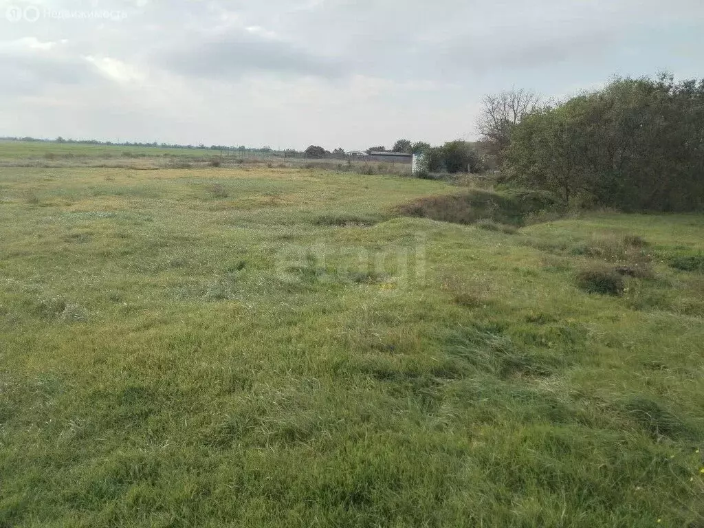 Участок в Калиновка, Южная улица (18.45 м) - Фото 2