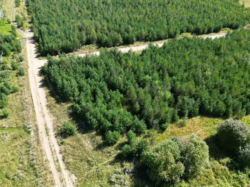 Участок в Иркутская область, Иркутский муниципальный округ, д. ... - Фото 1