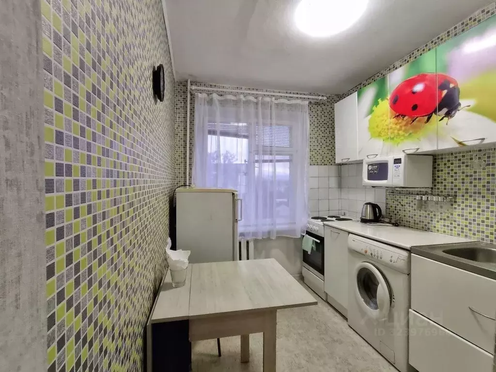 1-к кв. Краснодарский край, Новороссийск ул. Куникова, 60 (30.0 м) - Фото 1