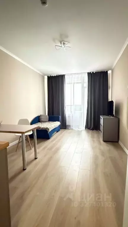 Студия Санкт-Петербург пос. Стрельна, просп. Буденного, 24к8 (24.0 м) - Фото 2