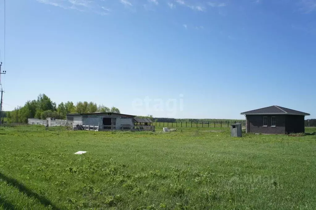 Дом в Нижегородская область, Богородский муниципальный округ, д. Полец ... - Фото 0