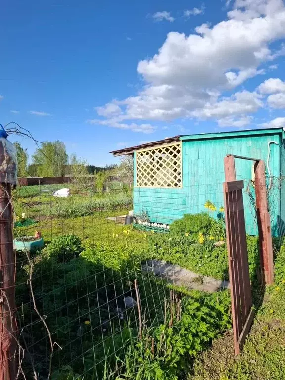 Участок 3 сот. (СНТ, ДНП) - Фото 1