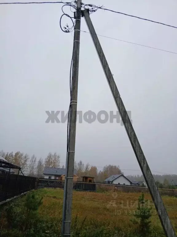 Участок в Новосибирская область, Новосибирский район, Кудряшовский ... - Фото 1