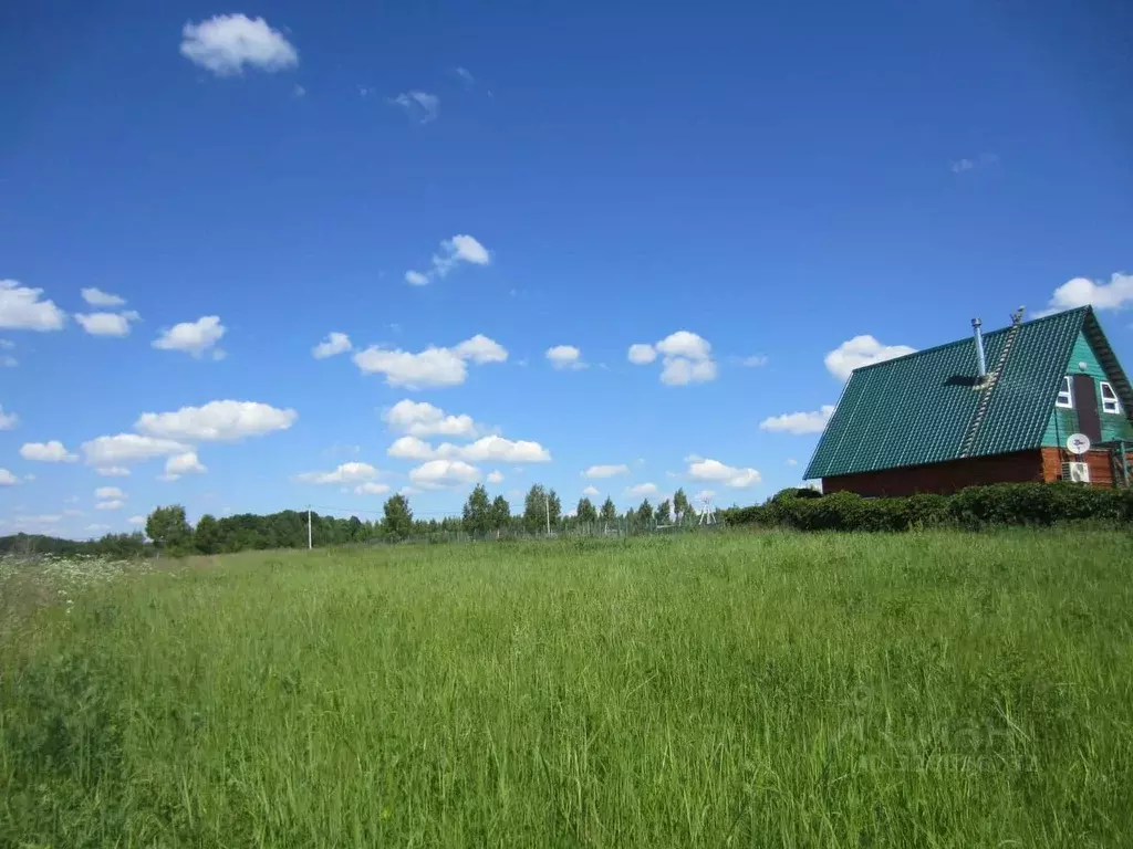 Участок в Московская область, Серебряные Пруды муниципальный округ, д. ... - Фото 2