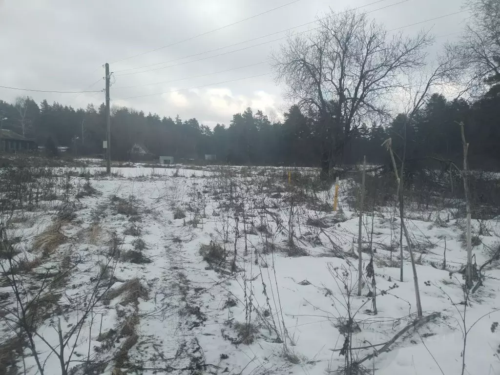 Помещение свободного назначения в Владимирская область, Юрьев-Польский ... - Фото 1