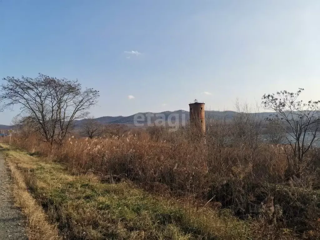 Участок в Приморский край, Артемовский городской округ, с. Суражевка ... - Фото 1