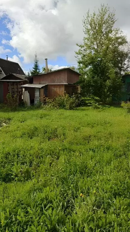 Дом в Ленинградская область, Кингисеппский район, Ивангородское ... - Фото 2