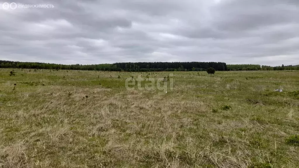 Участок в муниципальное образование Новосельское, село Крутово (520 м) - Фото 1