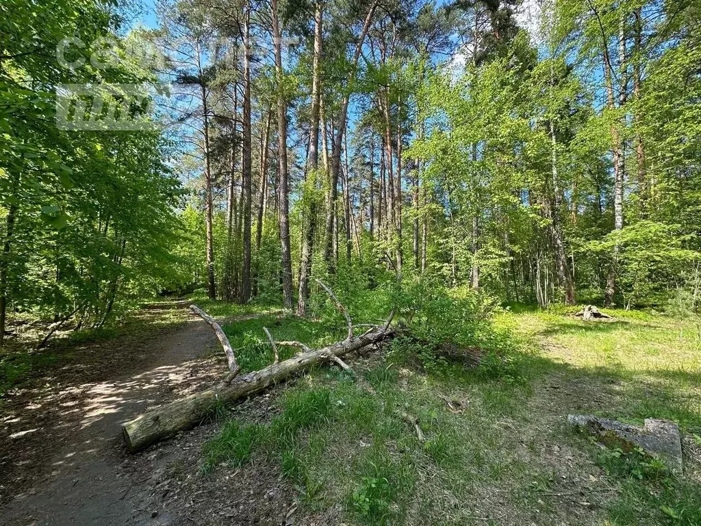 Участок в Московская область, Одинцовский городской округ, пос. Сосны ... - Фото 0