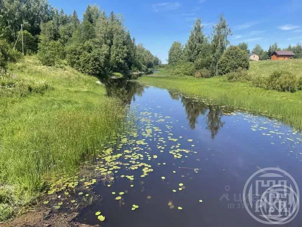 Участок в Ленинградская область, Выборгский район, Селезневское с/пос, ... - Фото 1