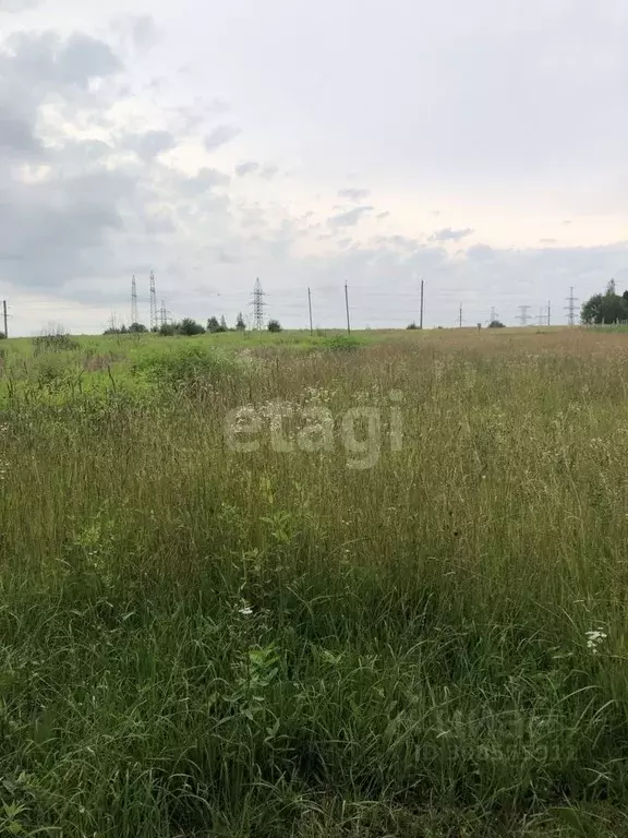 Участок в Брянская область, Брянский район, с. Глинищево ул. ... - Фото 1