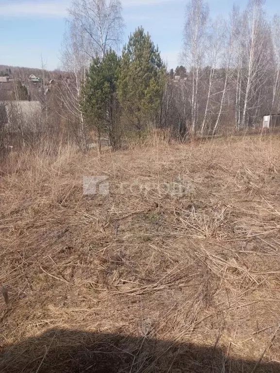 Участок в Новосибирская область, Новосибирский район, Барышевский ... - Фото 0