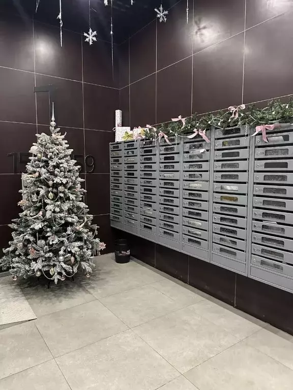 Студия Московская область, Балашиха Железнодорожный мкр, ул. ... - Фото 1