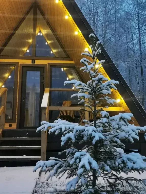 Комната Ленинградская область, Выборгский район, Рощинское городское ... - Фото 2