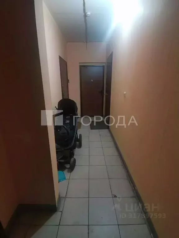 Студия Новосибирская область, Новосибирск ул. Одоевского, 1/11 (21.0 ... - Фото 1