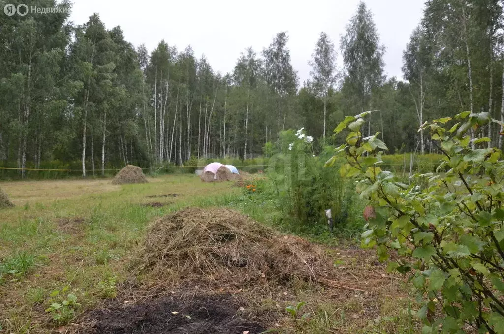 Участок в Киреевский район, сельское поселение Красноярское, посёлок ... - Фото 1