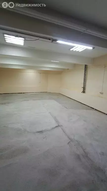 Помещение свободного назначения (64 м) - Фото 2