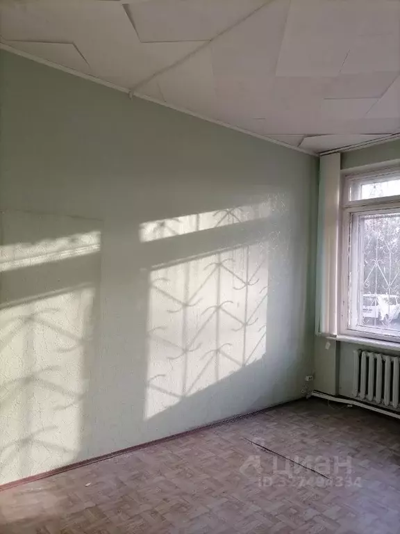 Помещение свободного назначения в Челябинская область, Озерск ул. ... - Фото 1