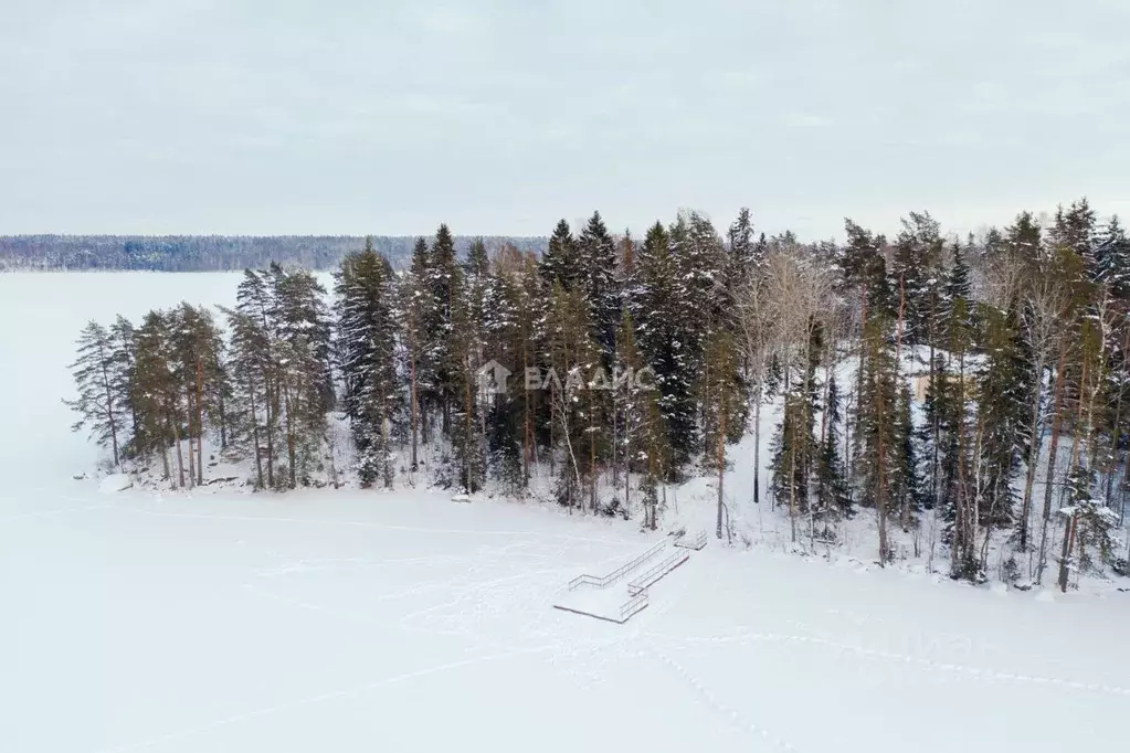 Участок в Ленинградская область, Выборгский район, Приморское ... - Фото 2