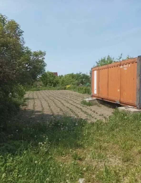 Участок в Ленинградская область, Гатчинский муниципальный округ, Учхоз ... - Фото 1