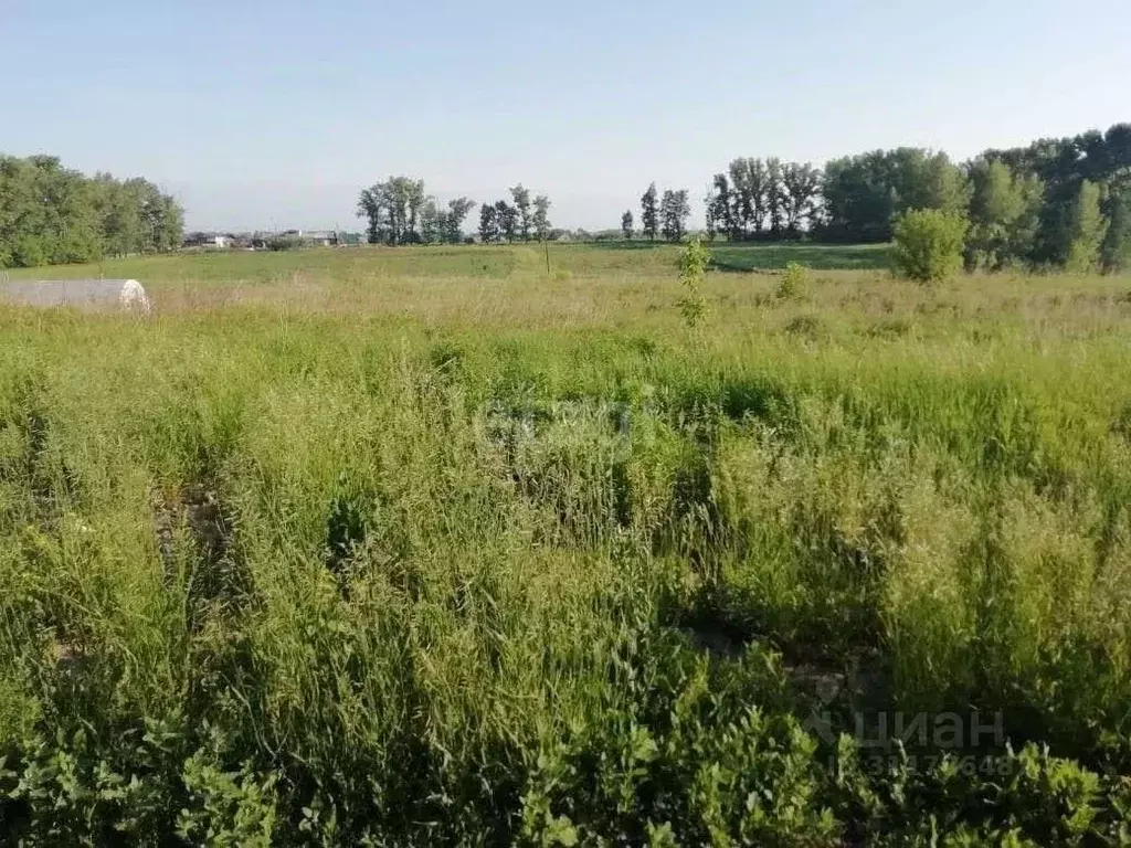 Участок в Алтайский край, Бийский район, пос. Пригородный Новая ул., ... - Фото 0